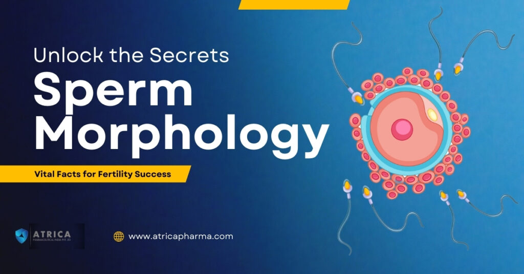 Unlock the Secrets of Sperm Morphology: Facts for Fertility Success