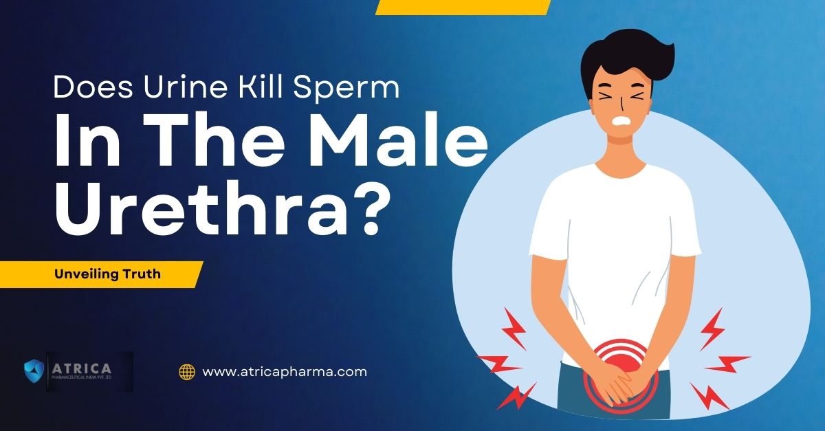 Unveiling Truth: Does Urine Kill Sperm in the Male Urethra?